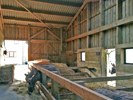 Houten landbouwloods voor bioboerderij